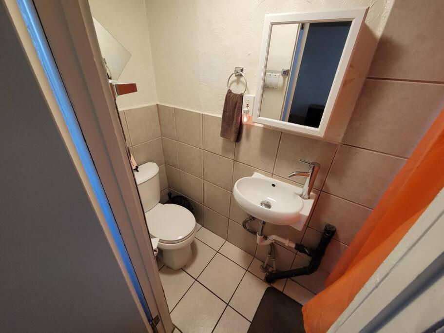 Comfortable Apartment - Pittsburgh'S Little Italy Екстериор снимка